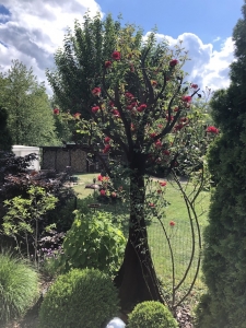Baum Edelrost - Exklusive Gartendeko Rost